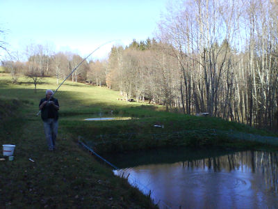 Forelle am Haken