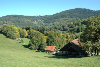 Sommerlandschaft 1