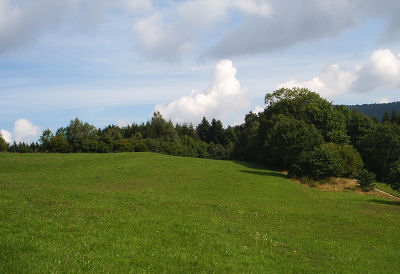 Sommerlandschaft 2
