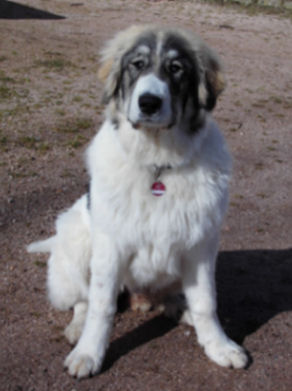 Unsere Shaki