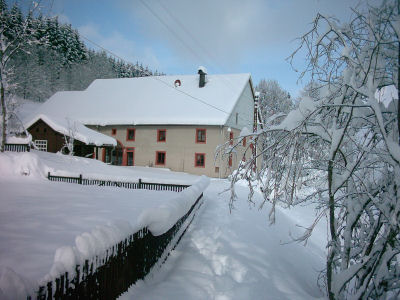 Verschneiter Garten