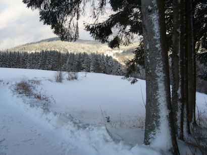 Winterlandschaft 1