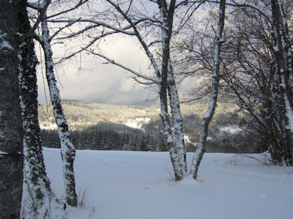 Winterlandschaft 3